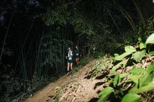 BIB: 
                            <button type="button" onclick="openModal(28106884)" class="btn btn-primary btn-sm float-right btn-popup" data-toggle="modal" data-target=".modal-high-quality">
                        <i class="fas fa-shopping-cart"></i> Add to Cart
                    </button>
                                            <button type="button" onclick="isThisMe(28106884, true)" class="btn btn-success btn-sm float-right btn-popup btn-isme hidden" data-toggle="tooltip" data-placement="bottom" title="นี่คือรูปของคุณใช่ไหม คลิกที่นี่เพื่อเอาเข้าอัลบั้ม">
                        <i class="fas fa-plus"></i> Add to album
                    </button>
                    <button type="button" onclick="isThisMe(28106884, false)" class="btn btn-warning btn-sm float-right btn-popup btn-isnotme hidden">
                        <i class="fas fa-ban"></i> Remove from album
                    </button>